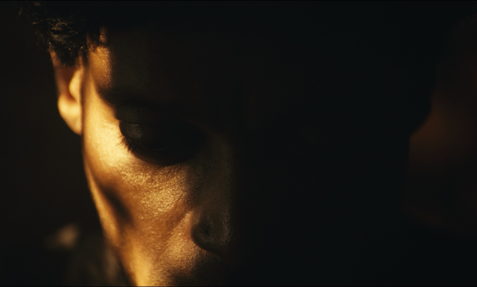 Auto de Fé — retrato