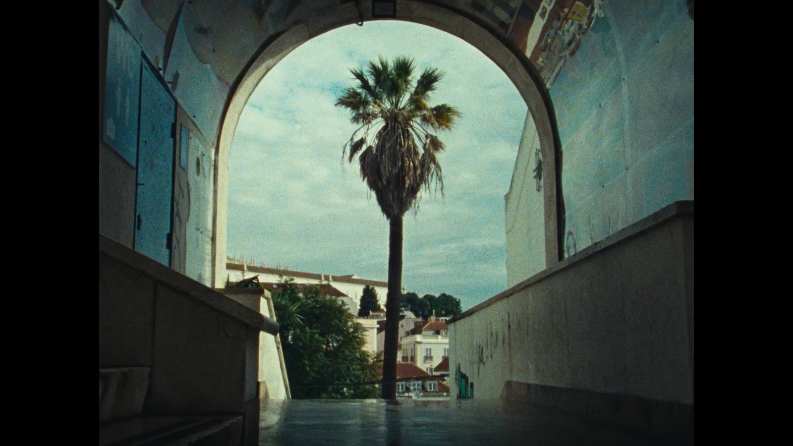 Balada de Outono — arco palmeira